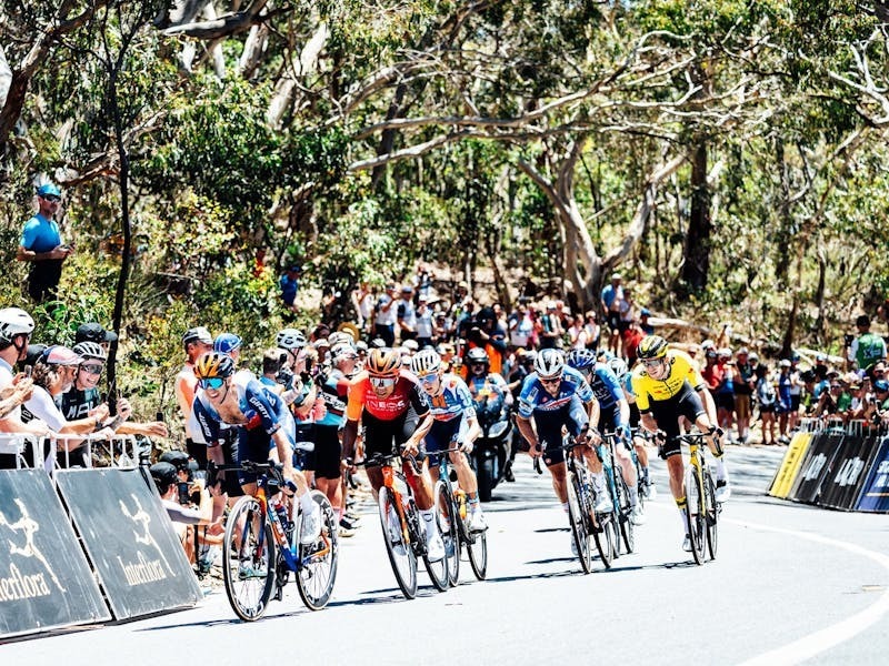 Santos Tour Down Under - THINK! Road Safety Men's Stage 5