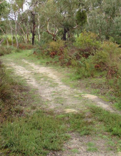 Manning Reserve Trail Image 01