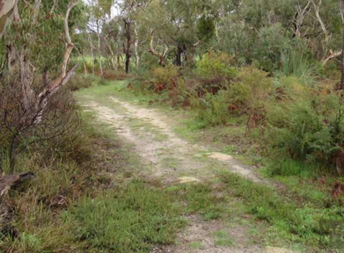 Walking Loop of Manning Reserve