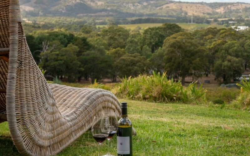Just sit back and relax overlooking the vineyards and dramatic sellicks escarpment