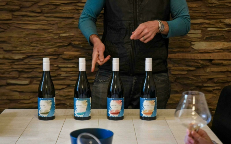 A man pointing at a row of wine bottles on a white table