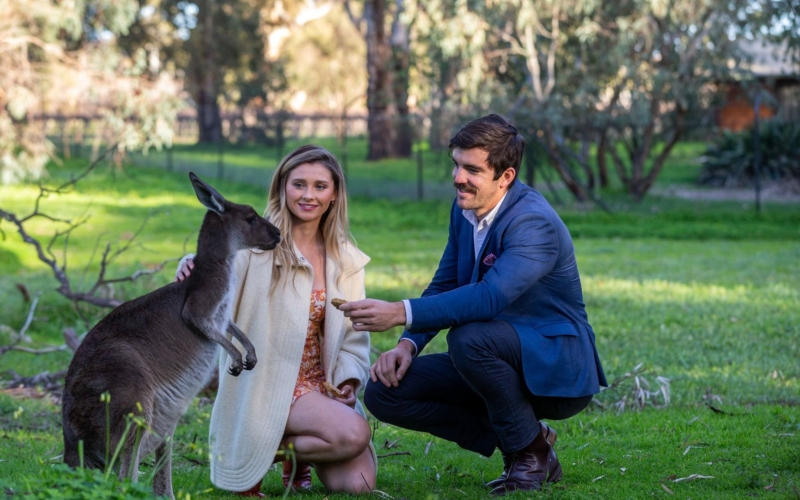 Young couple crouched down feedinga friendly small kangaroo.