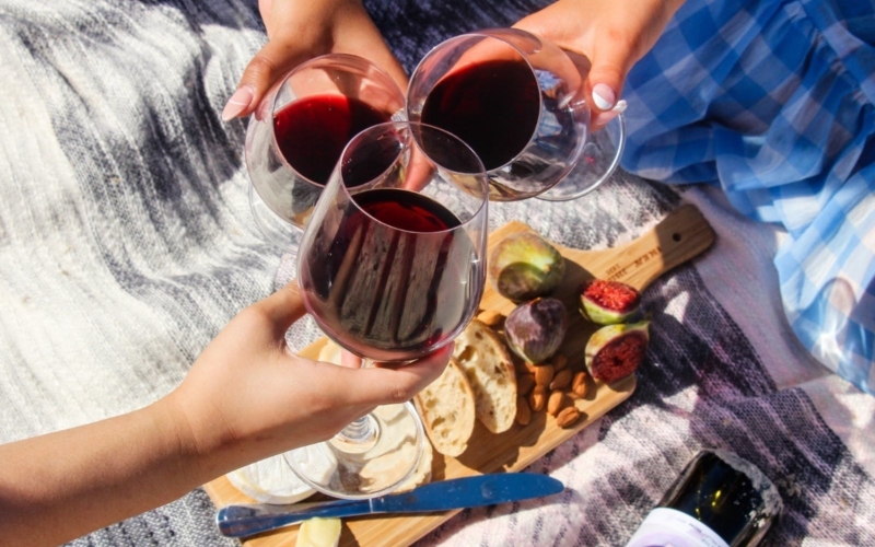 A picnic and close up of 3 wine glasses clinking above a cheese platter.
