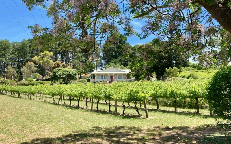 Karawatha Cottages and vineyards