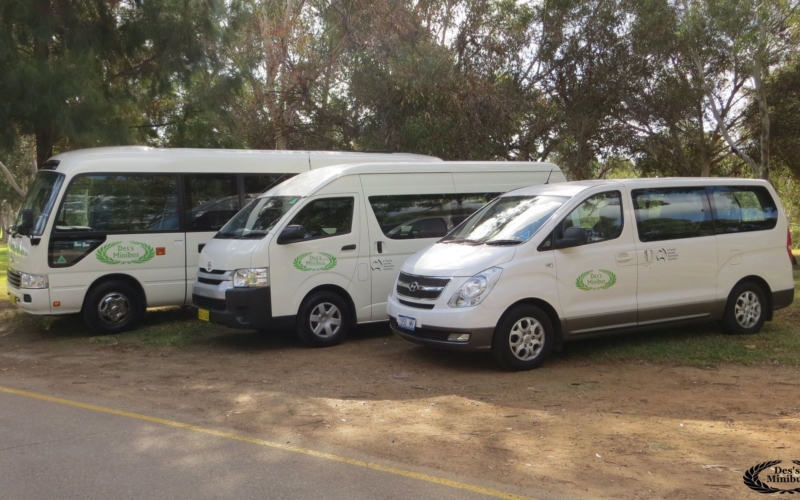 Showcasing corporate buses of Des's Minibus in Bonython Park. A 7, 13 and 21 seat bus are shown.